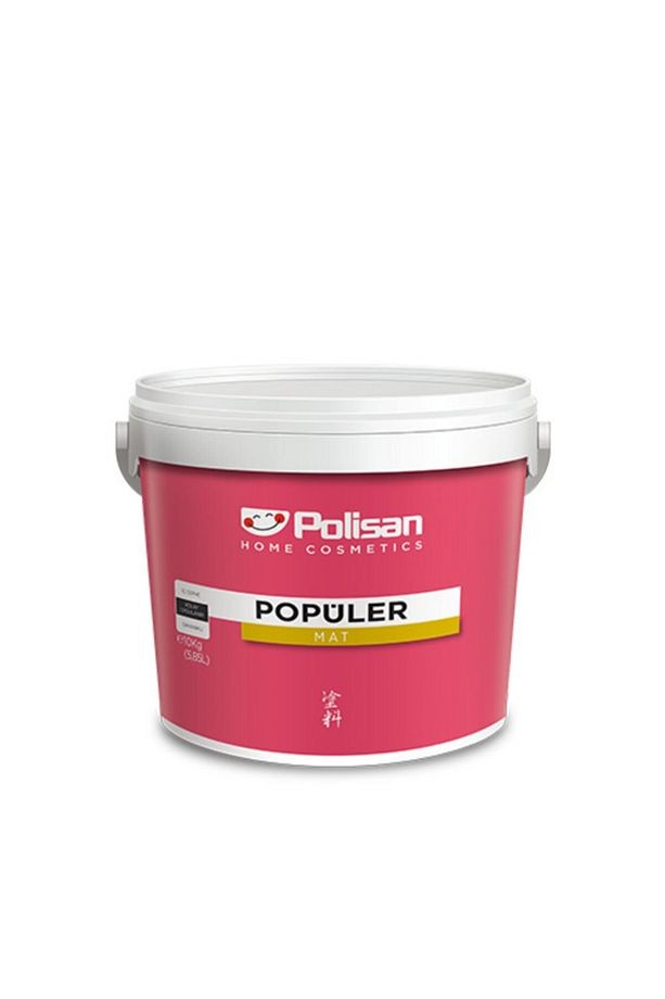 Popüler Plastik Iç Cephe Boyası 20 Kg Romans