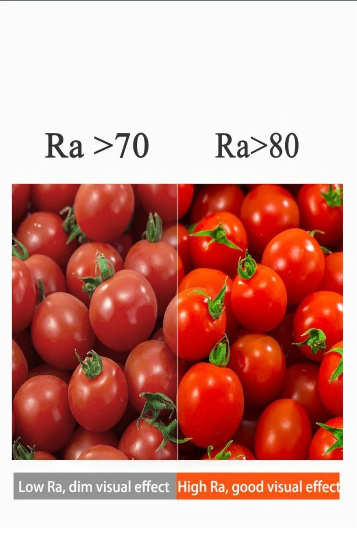 4,9W (40W) Led Mum Ampul Günışığı - 4000K E14