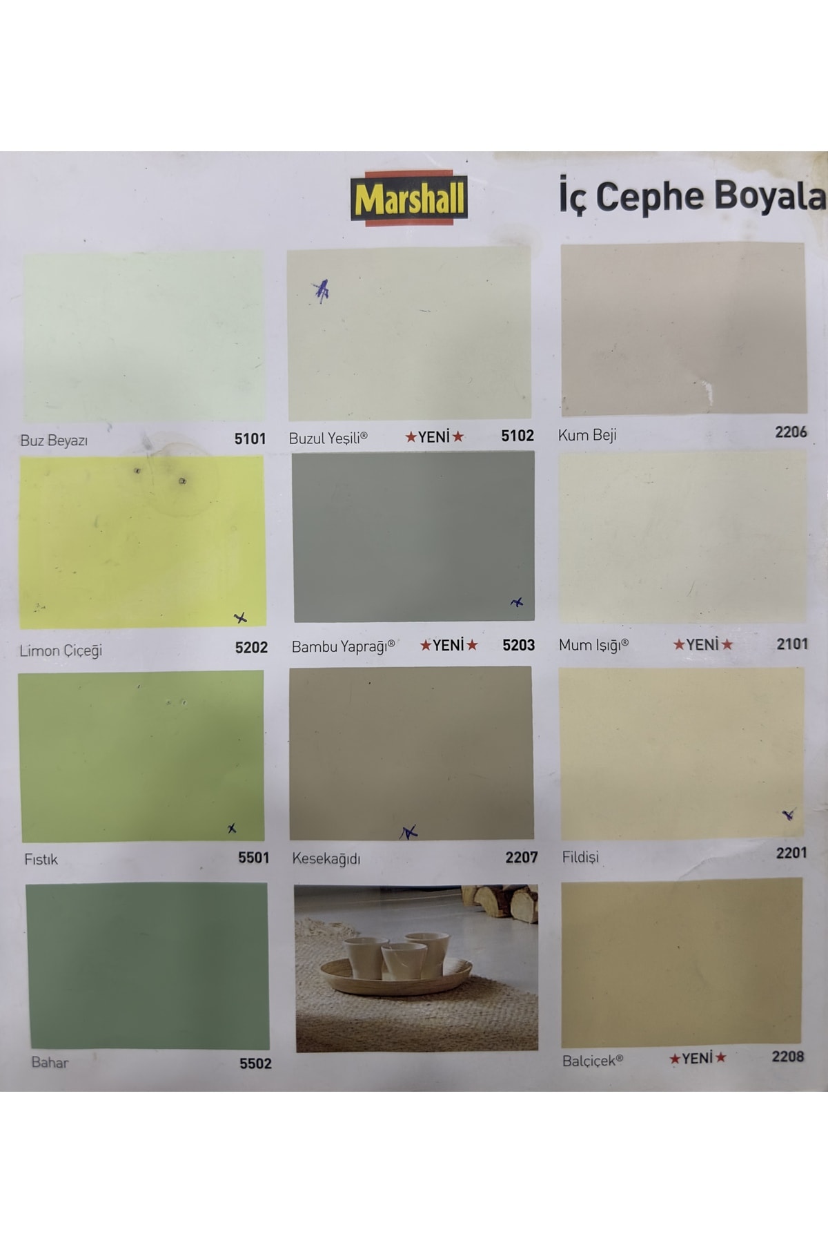 Export Boya (LİMON ÇİÇEĞİ)