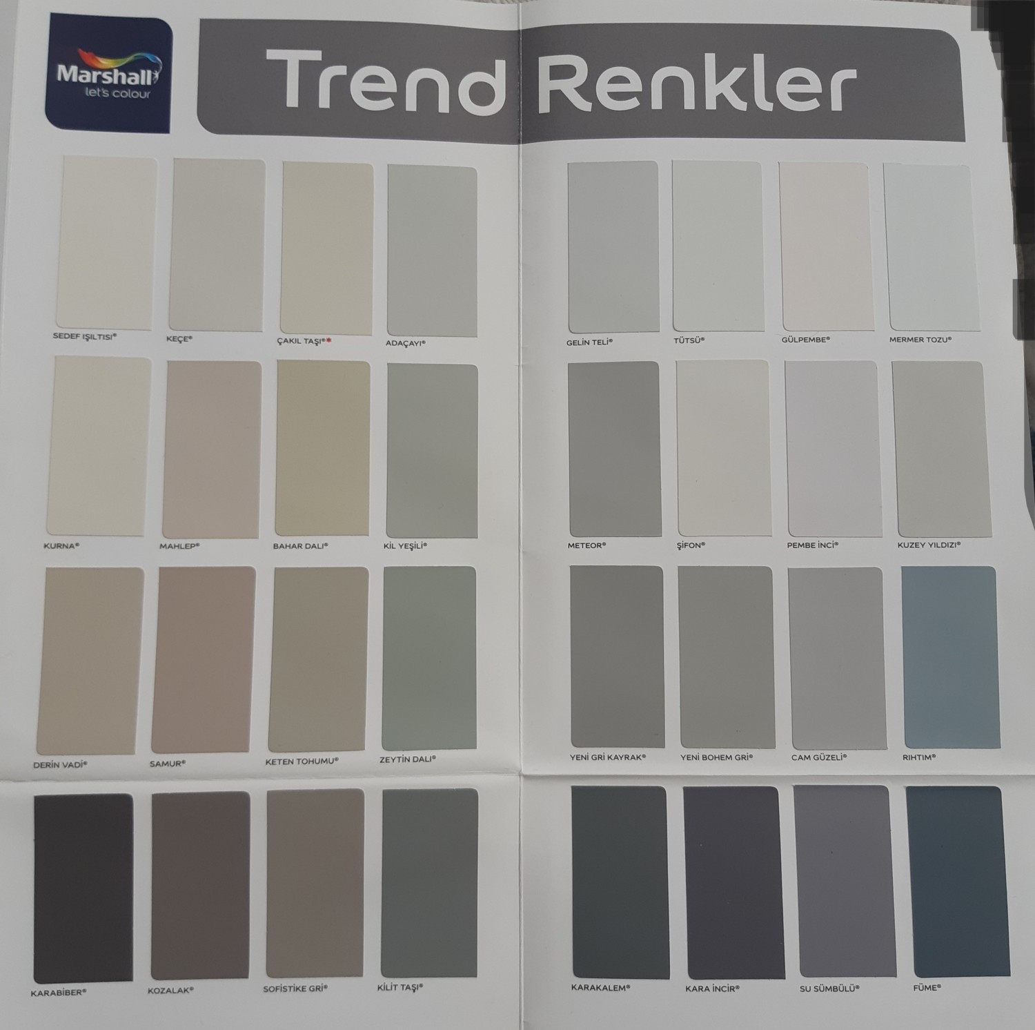 Silikonlu Özel Mat Silinebilir Iç Cephe Boyası 1 Ltyeni Gri Kayrak