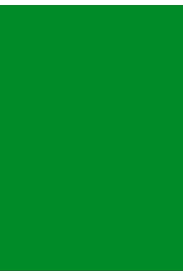 Aqua Pro RAL 6037 Reingrün Metal Boyası 0,9 LT