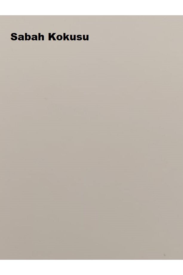 Plastik Mat Iç Cephe Boyası Sabah Kokusu 15 Lt (20 KG)