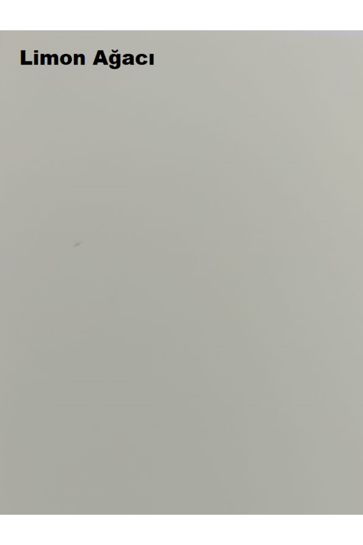 Pastel Yarı Mat Boyası Limon Ağacı 2,5 Lt (3,5 LT)