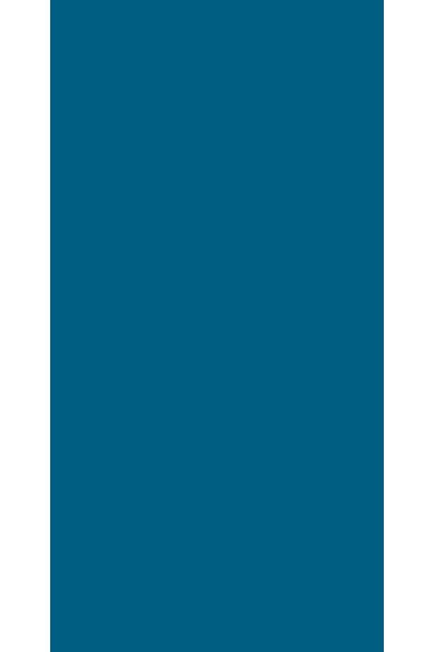 Aqua Pro RAL 5019 Capriblau Metal Boyası 2,25 LT
