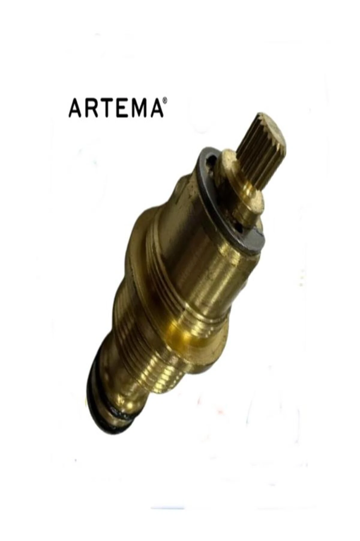 A37296YP Grup Salmastra (Juno)