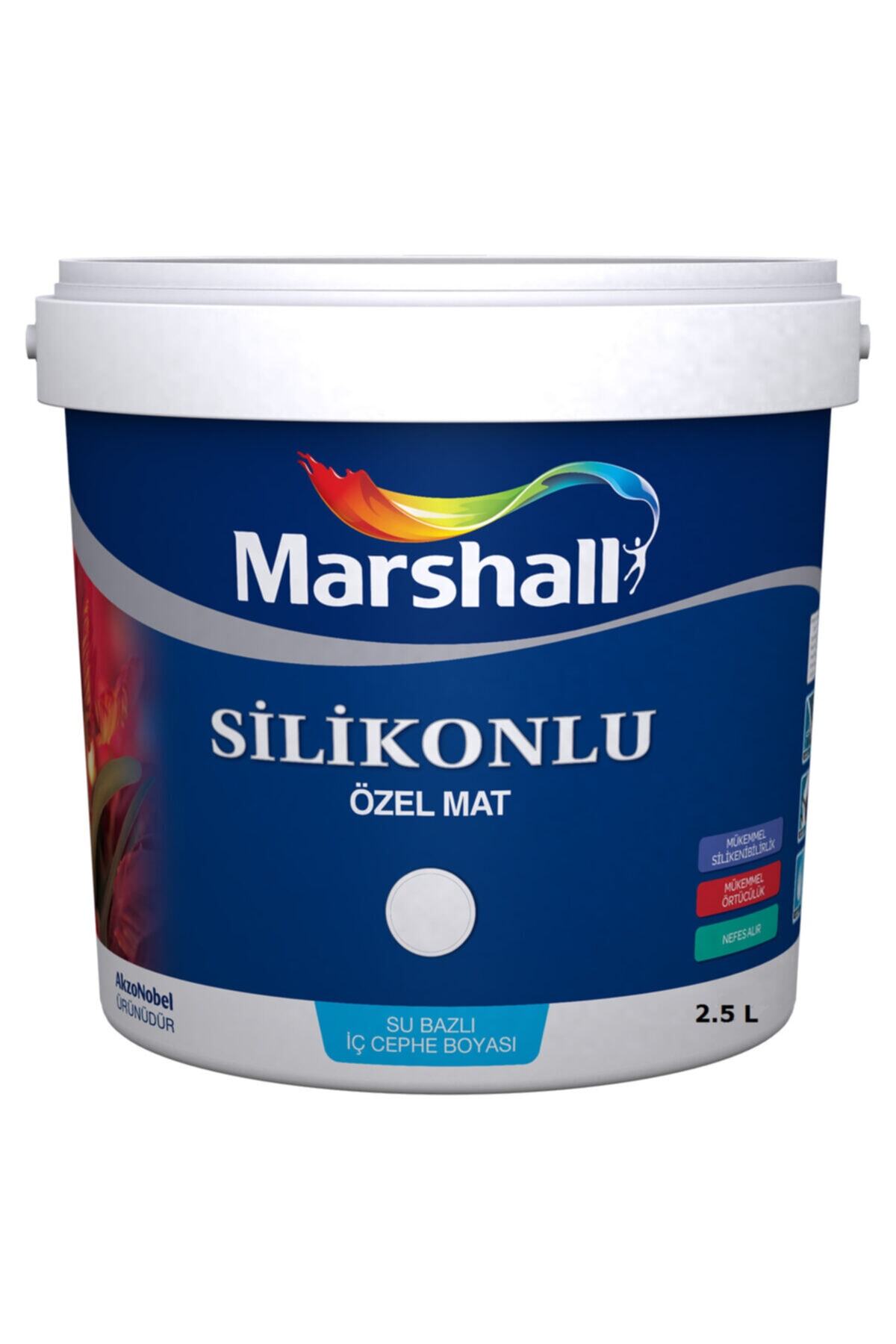 Özel Mat Silikonlu Duvar Boyası 2.5 L/3,5 Kg Tavan Boyası 3,5 Kg Boyama Seti - Renk: Müge