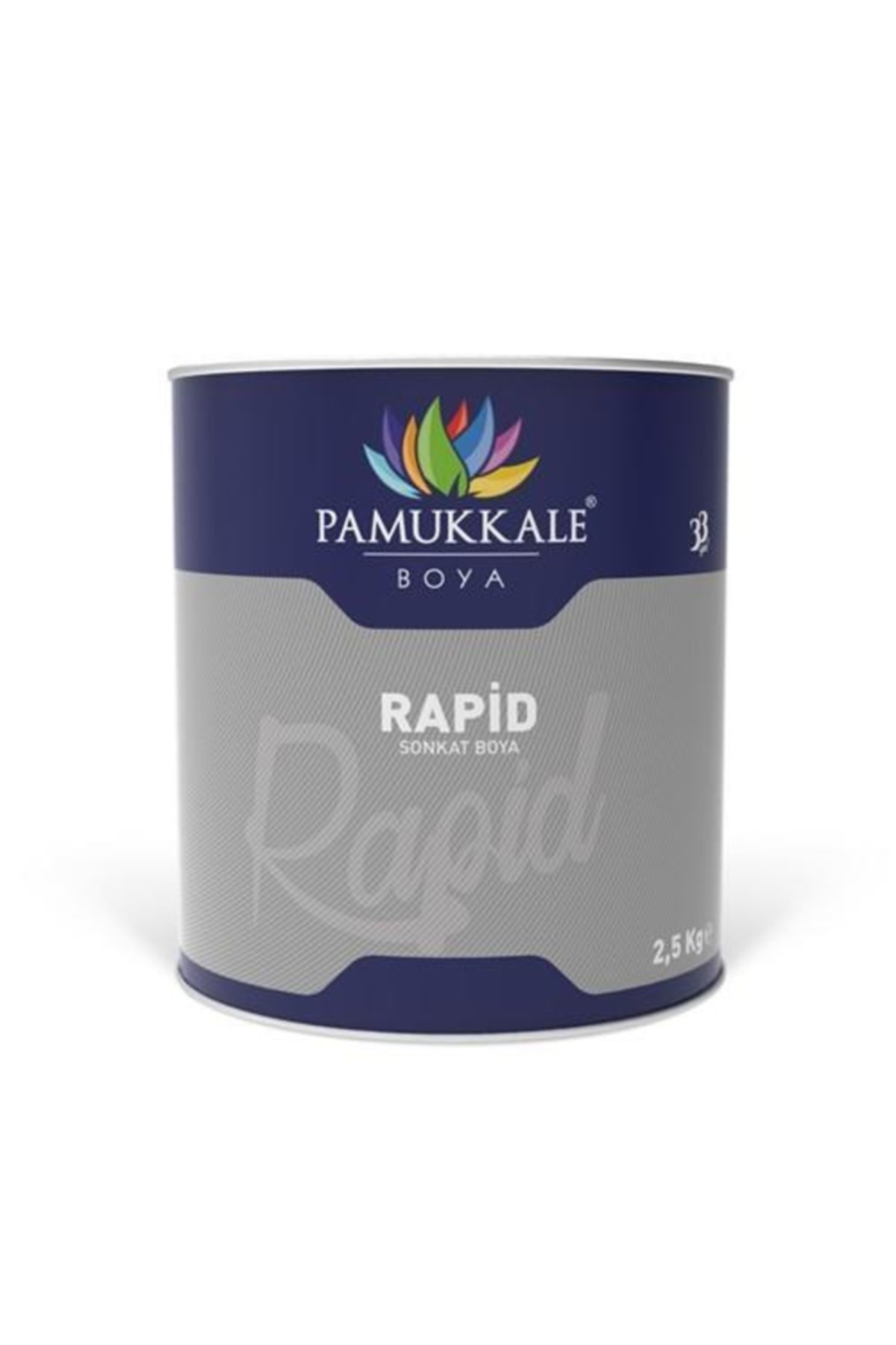 Pamukkale Rapid Boya Turkuaz 2,5 Kg