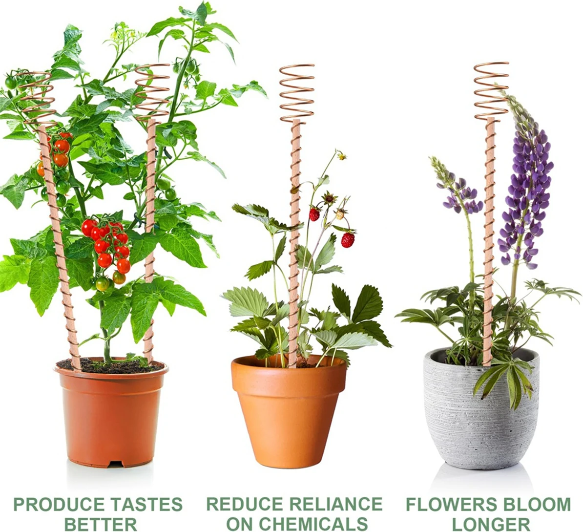 8 Paket 13,5 Inç Elektrokültür Bitki Kazıkları, Uzun Bakır Bahçe Kazıkları, Büyüme Için Elektrokültür Bakır Bobin Antenleri (Yurt Dışından)