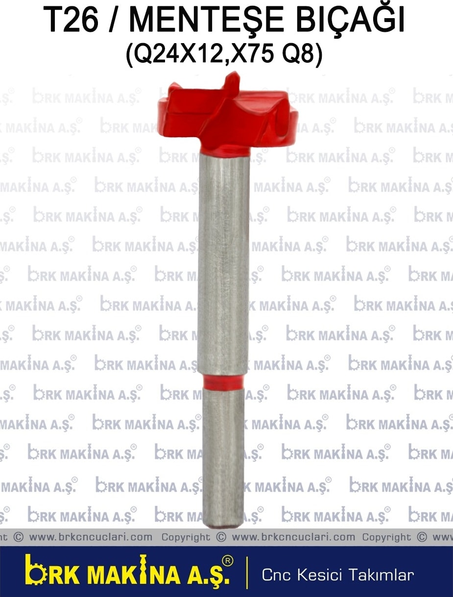 BOSCH Menteşe Bıçağı Freze