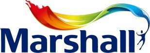 Plastik Mat Iç Cephe Boyası Bal Arısı 15 Lt (20 Kg)