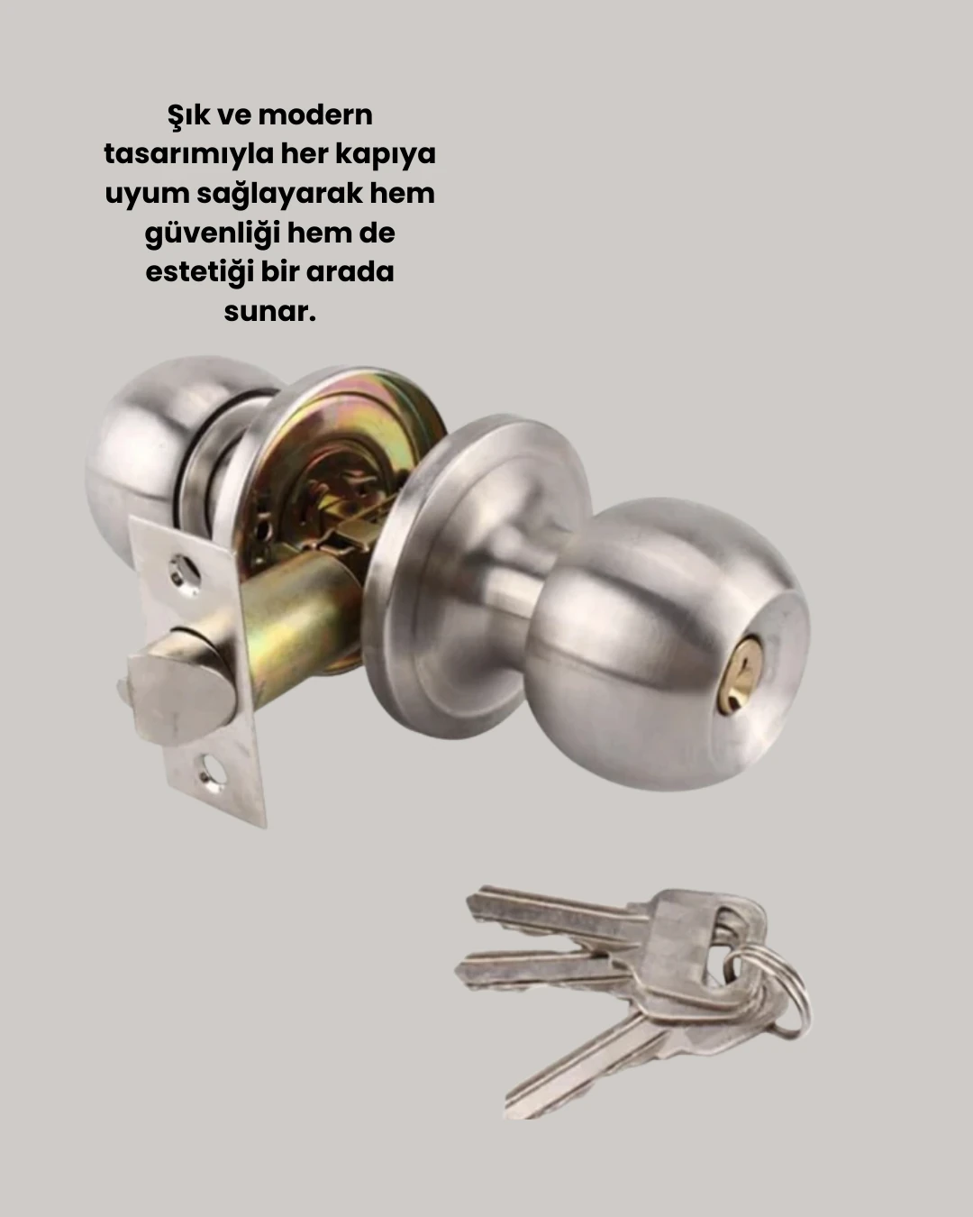 Ds-Derin Paslanmaz Çelik Dalı Topuzlu Kapı Kilidi