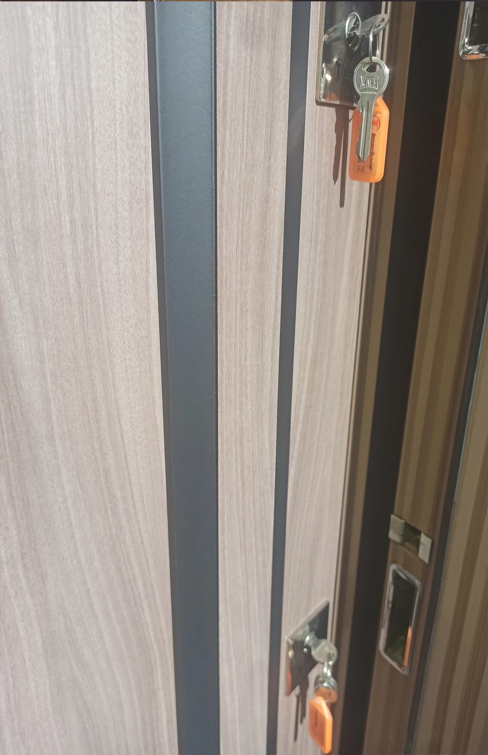 Eskitme ( Tanganika ) Kabartmalı Model Daire Kapısı, Çelik Kapı, Villa Kapısı