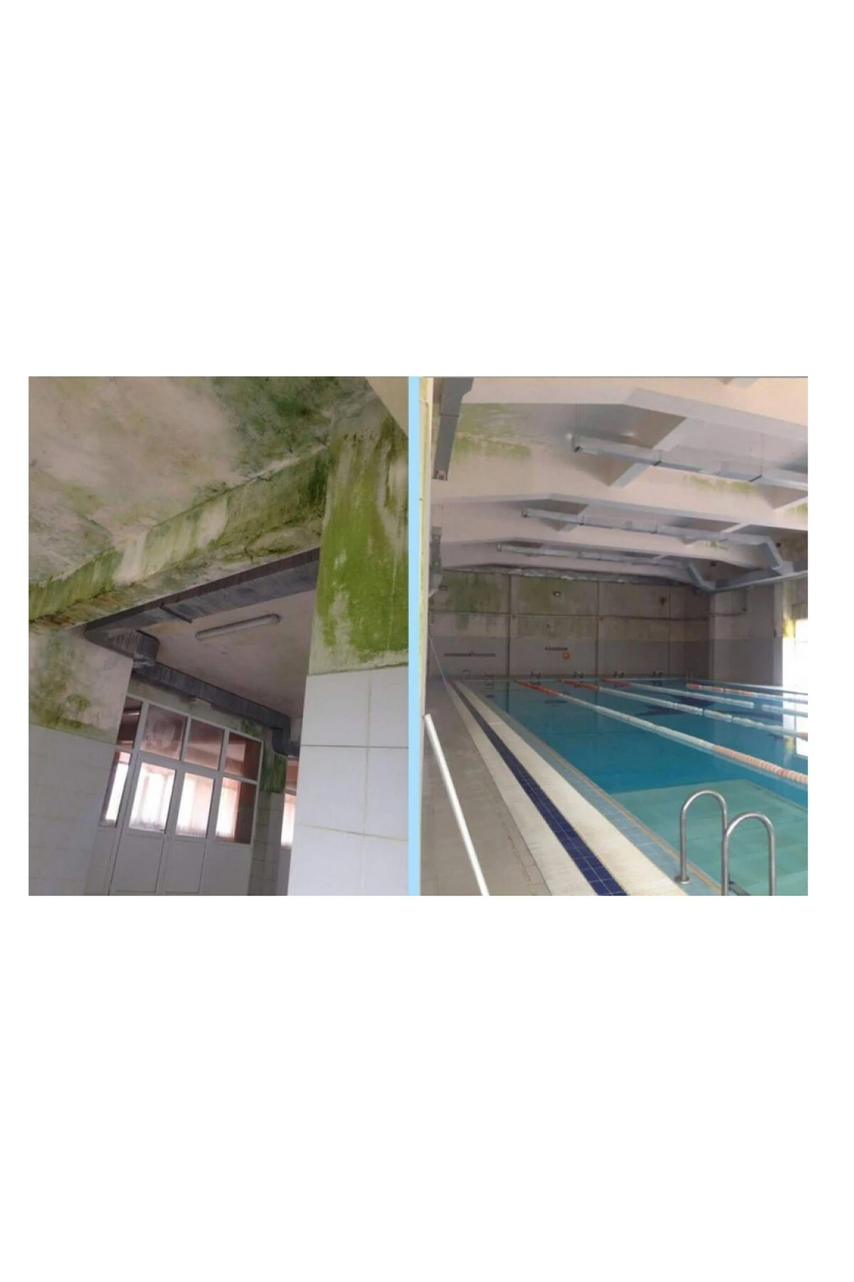 MS82 Rutubetli Yüzey ve Nem Boyası 1 Kg