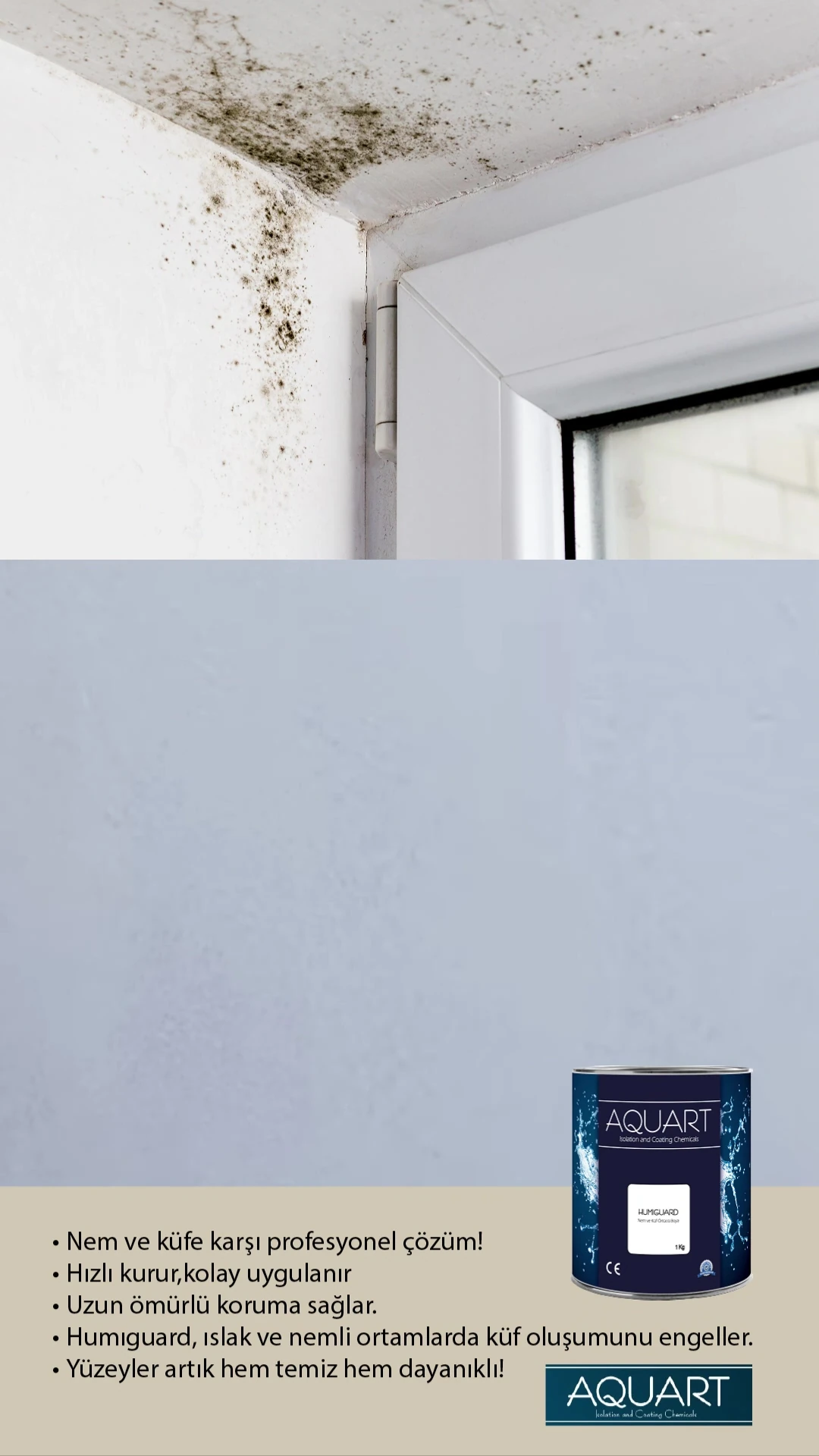 HUMIGUARD NEM RUTUBET KÜF BOYASI 3kg