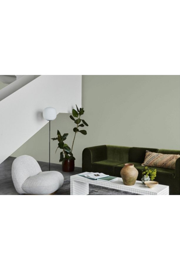 Treasure 7628 Fenomastic Zen 1LT Boya