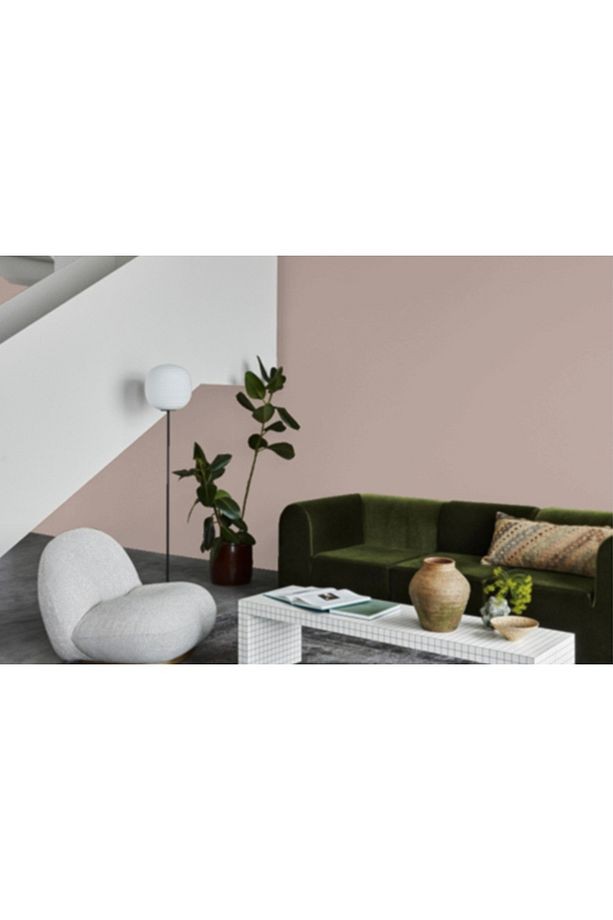 Pudra 2845 Fenomastic Zen 7LT