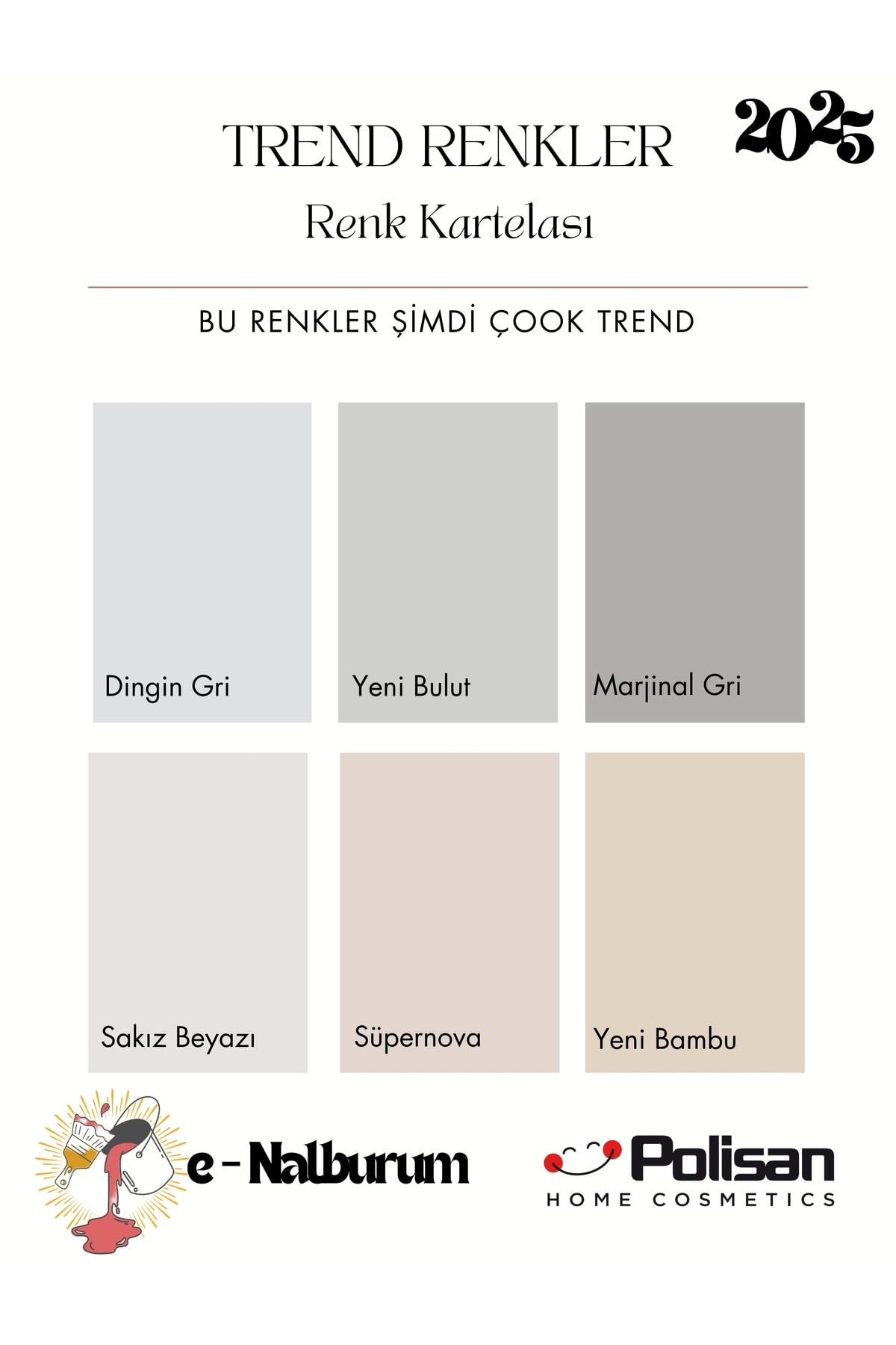 Elegans Extra Kokusuz ve Mükemmel Silinebilir-Nem Önleyici Boya 2.5lt 2 Adet(5lt)