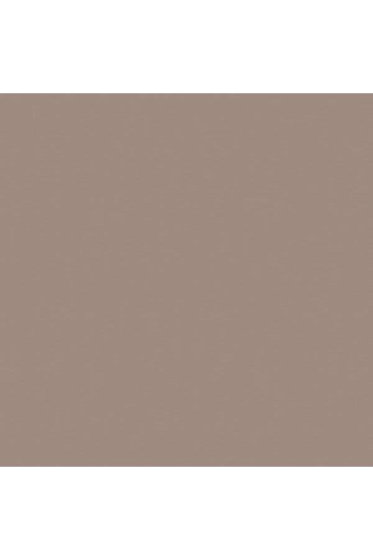 SELSİL YAĞMURA DAYANIKLI MASTİK VİZON RENK 485 GRAM