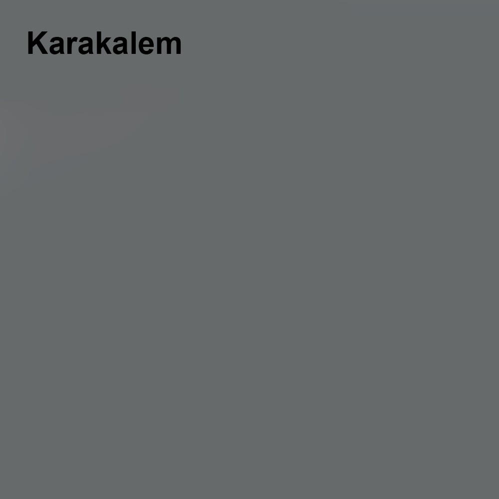 Maximum Mat Silikonlu Karakalem 2,5 Lt. (3,5 Kg)