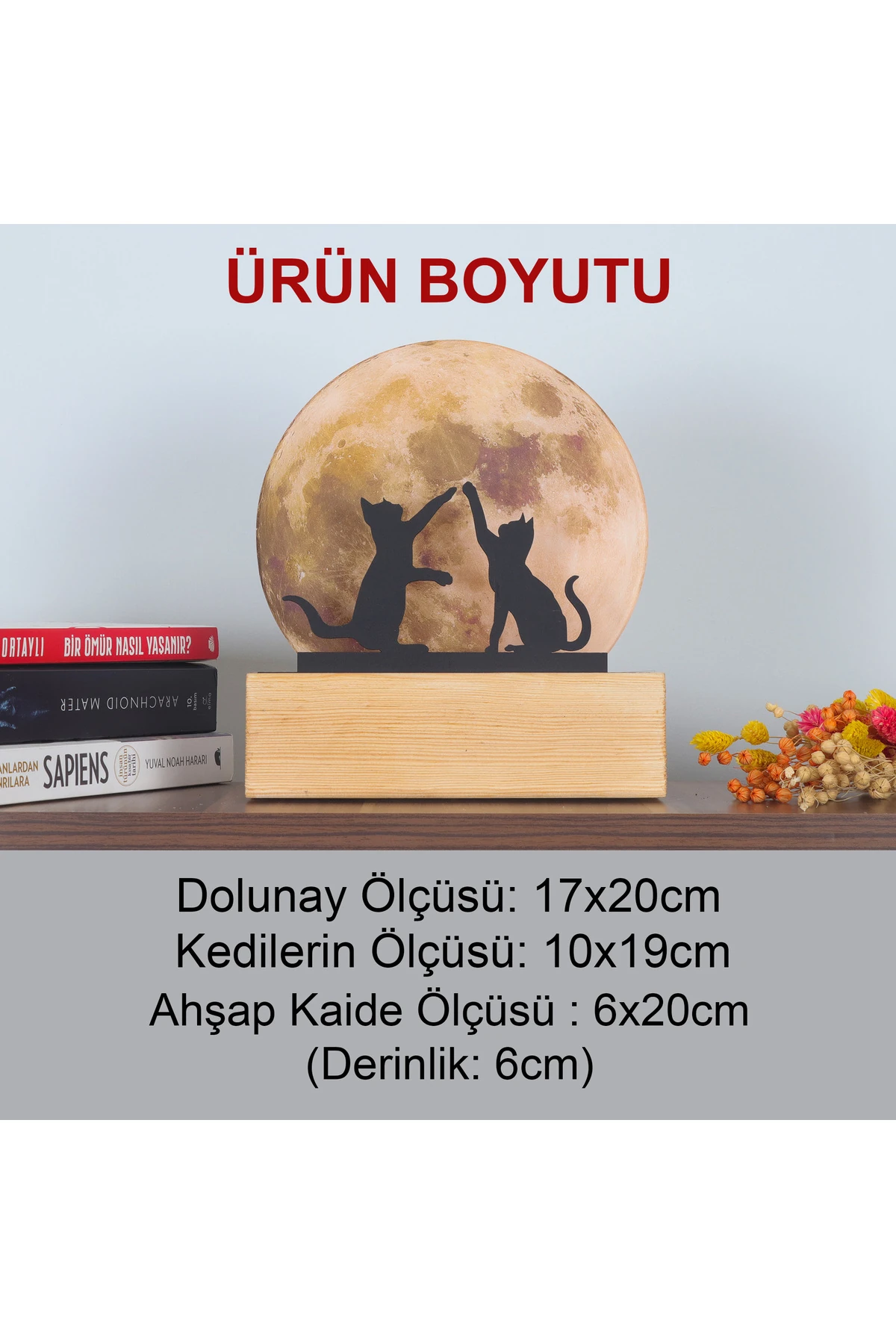 Led Işıklı Pleksi Dolunay Kişiselleştirilebilir Dekoratif Biblo Harvey Kediler Anahtar Askılığı