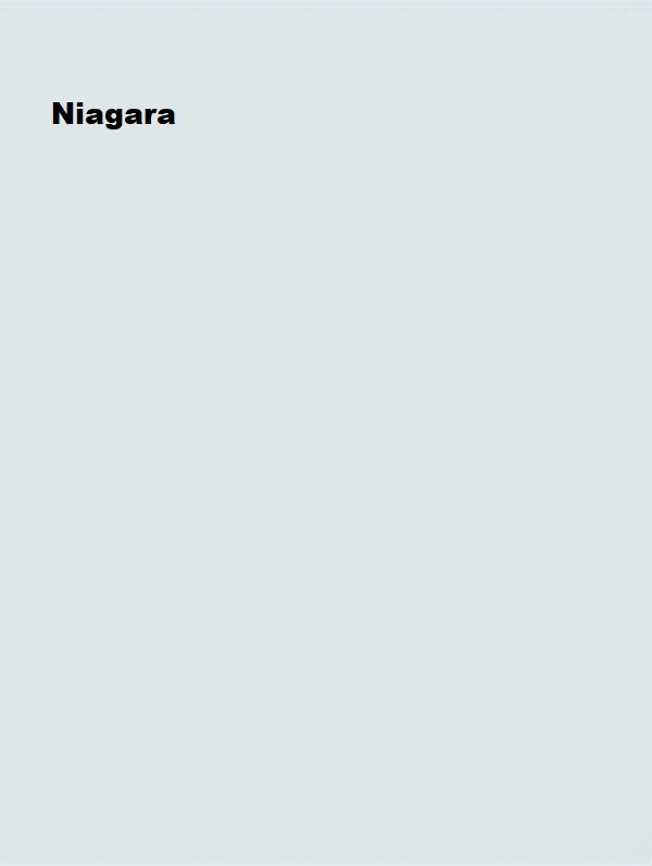 Silikonlu Özel Mat Niagara 7,5lt (10 kg)