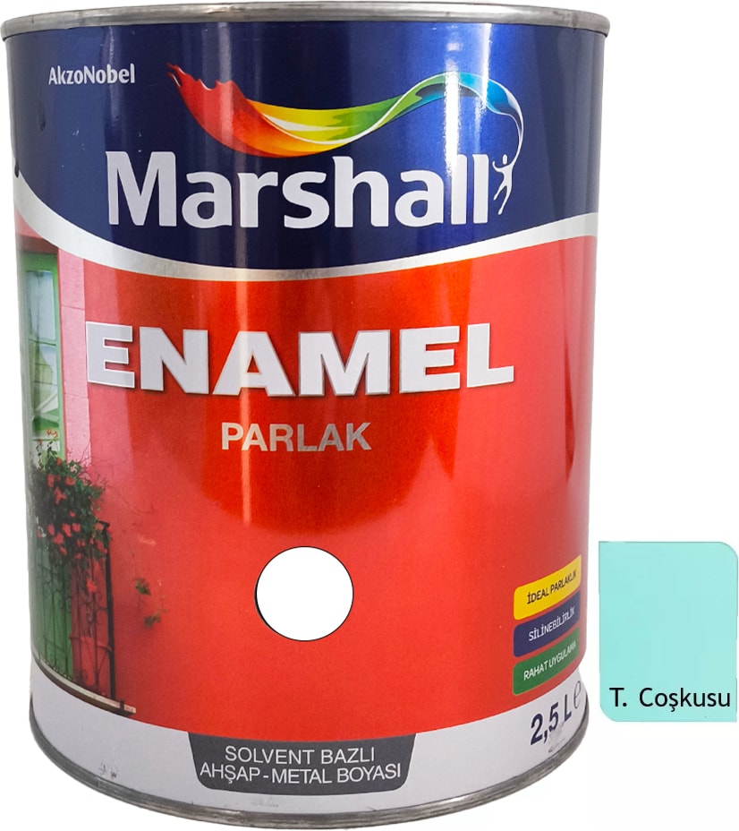 Enamel Sentetik Parlak Yağlı Boya 2.5 Lt Turkuaz Coşkusu