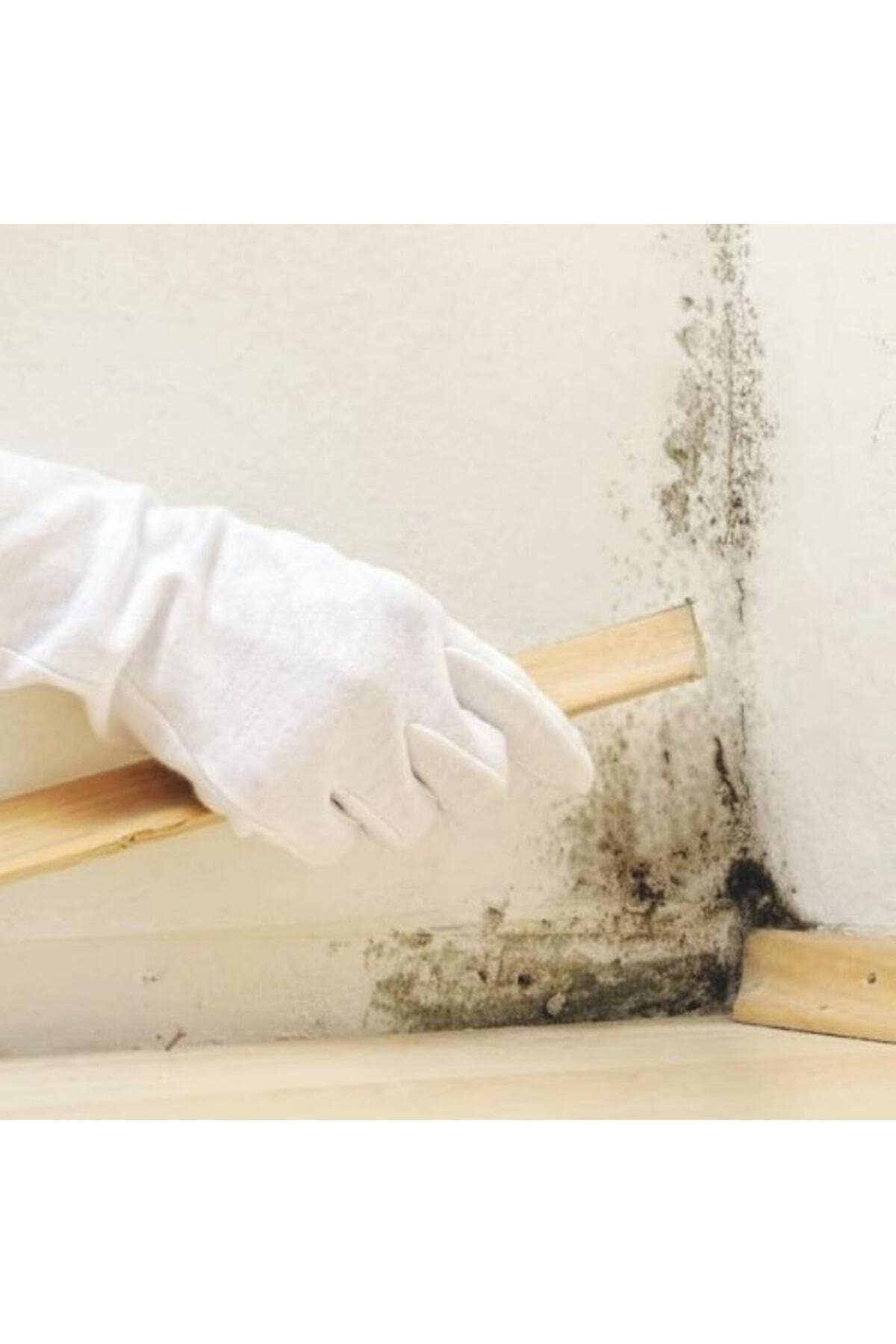 M 30 Küf Ve Rutubet Önleyici Anti-mould Paint- Beyaz- 3.5 Kg