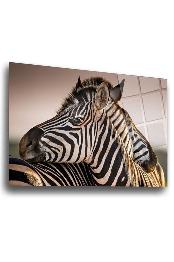 Zebra Cam Tablo