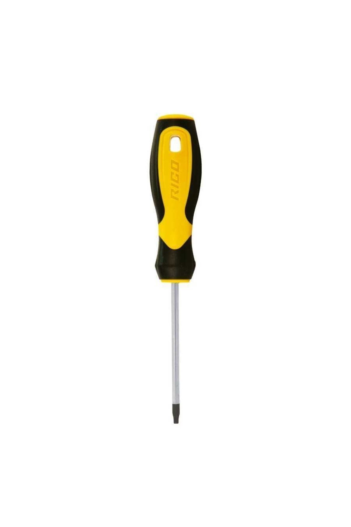 T25x100 Torx Tornavida
