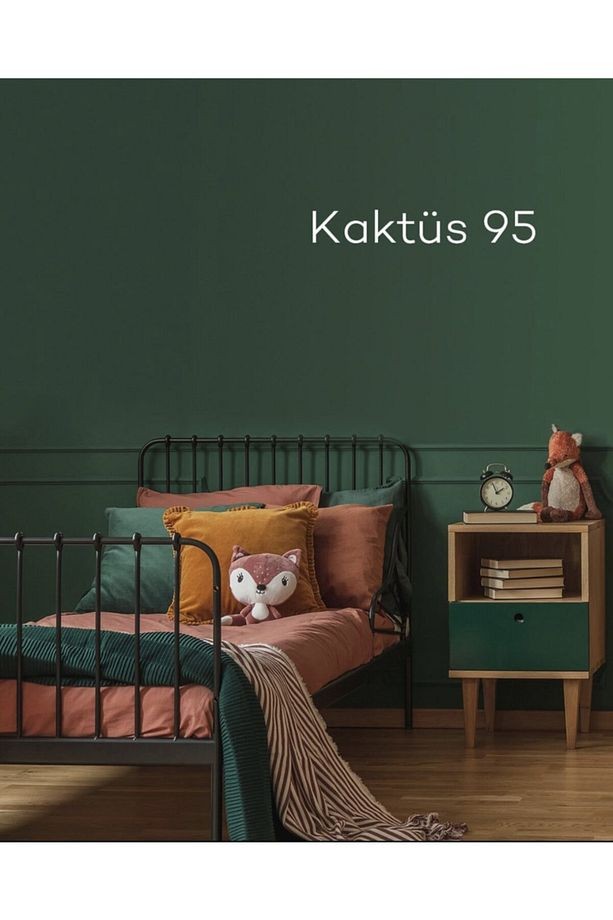 Kaktüs 95Momento Silan  Ipeksi Mat Tam Silinebilir Iç Cephe Boyası 2.5 Lt