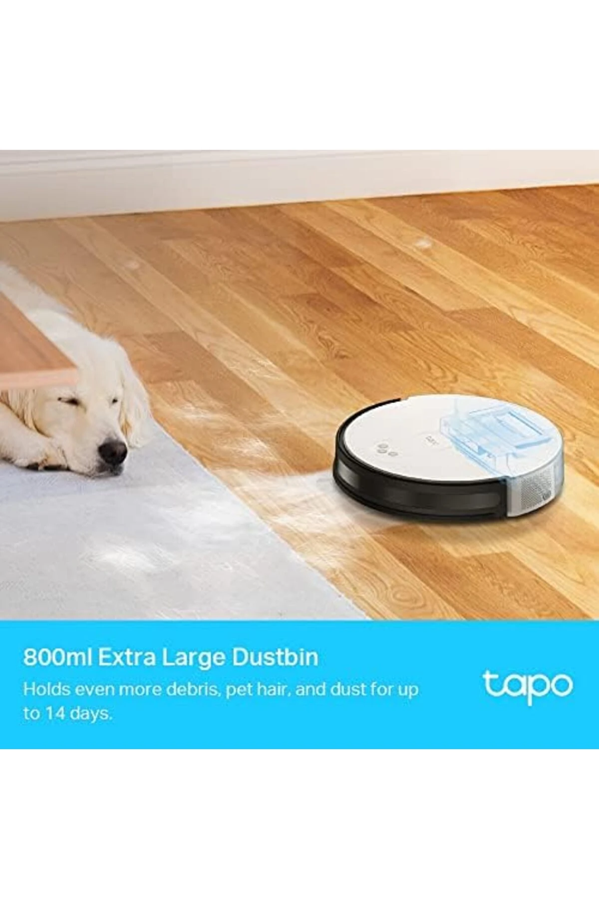 P100, Akıllı Mini Wi-Fi Soketi, Amazon Alexa ve ile Çalışır, Uzaktan Kontrol, Cihaz Paylaşımı, Hub G