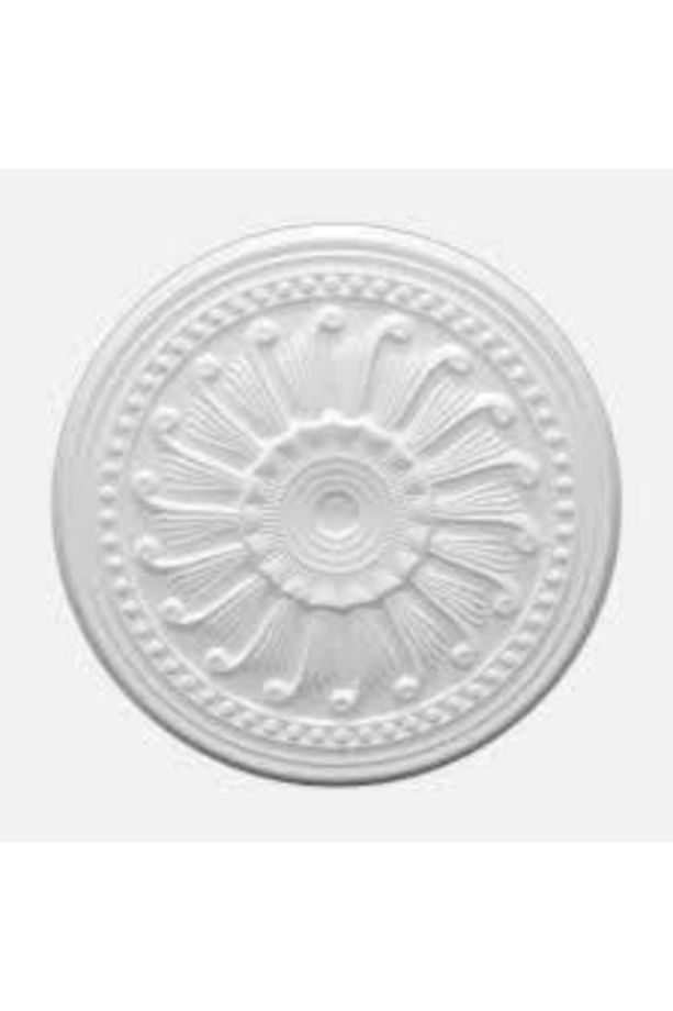 Tavan Salyangoz Göbek 50 cm 6 Adet