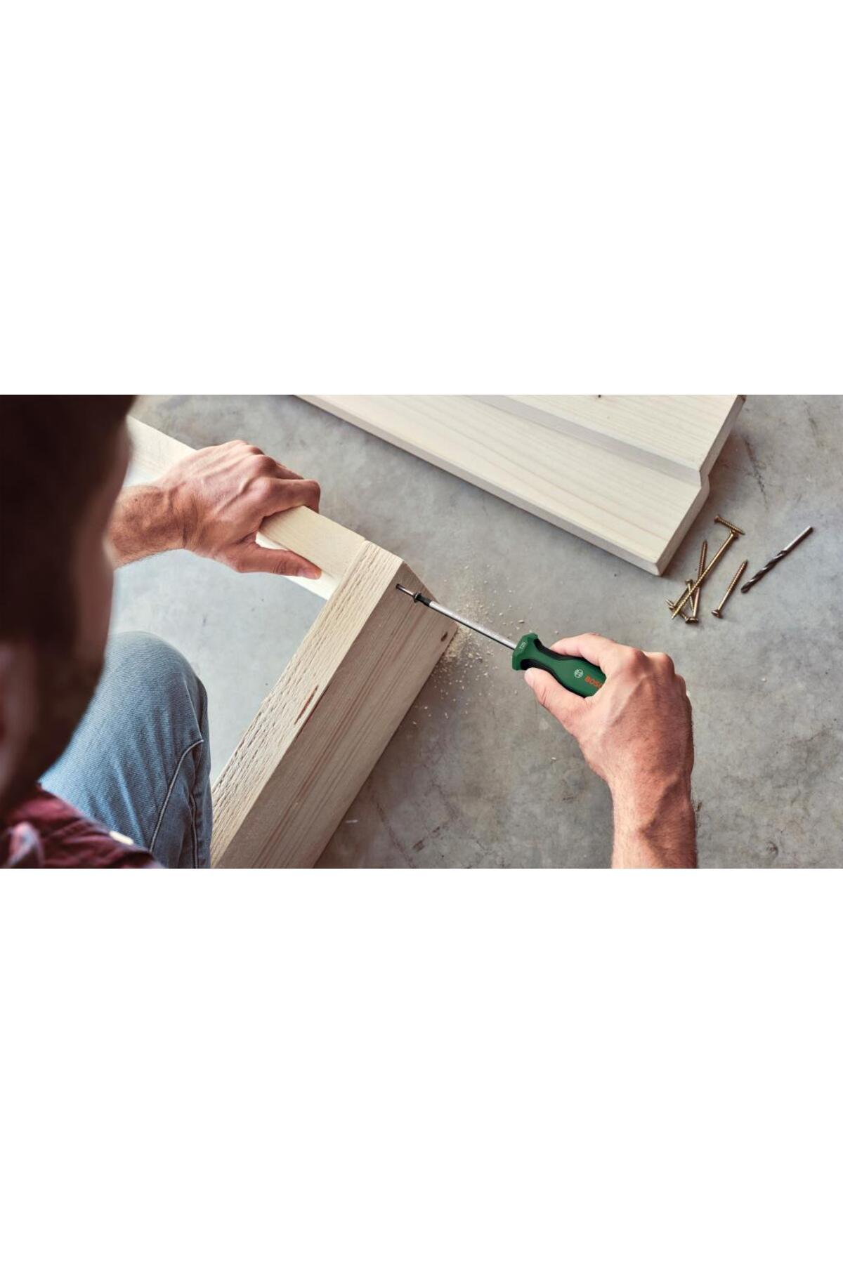 BOSCH Home and Garden Tornavida Seti 6 Parça Premium - 1600A02W7L