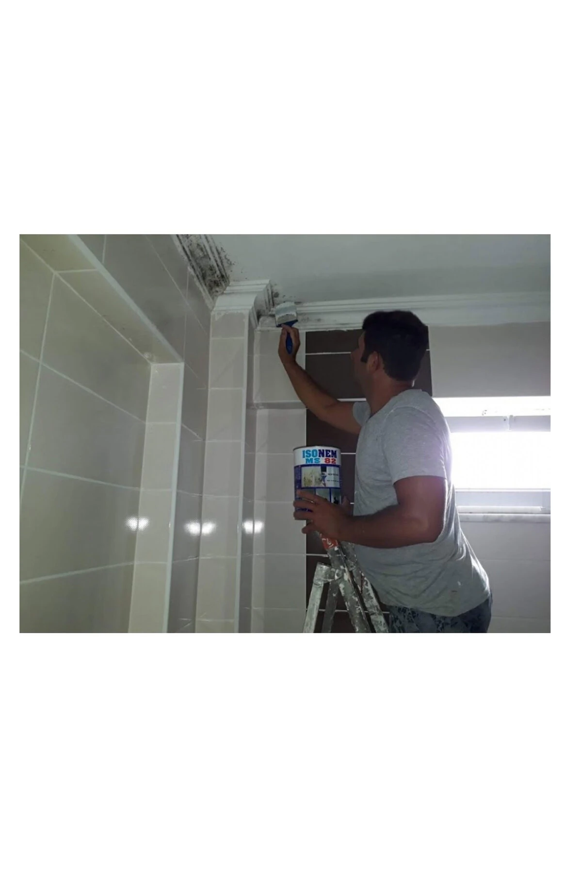 MS82 Rutubetli Yüzey ve Nem Boyası 1 Kg