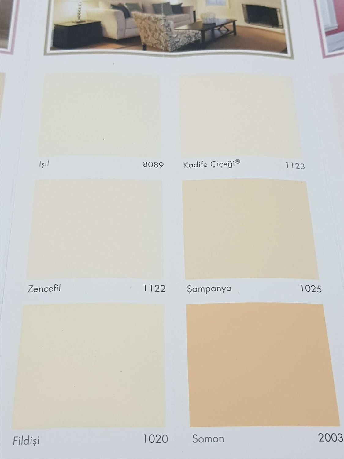 Silikonlu Mat İç Cephe Boyası 3.5 Kg