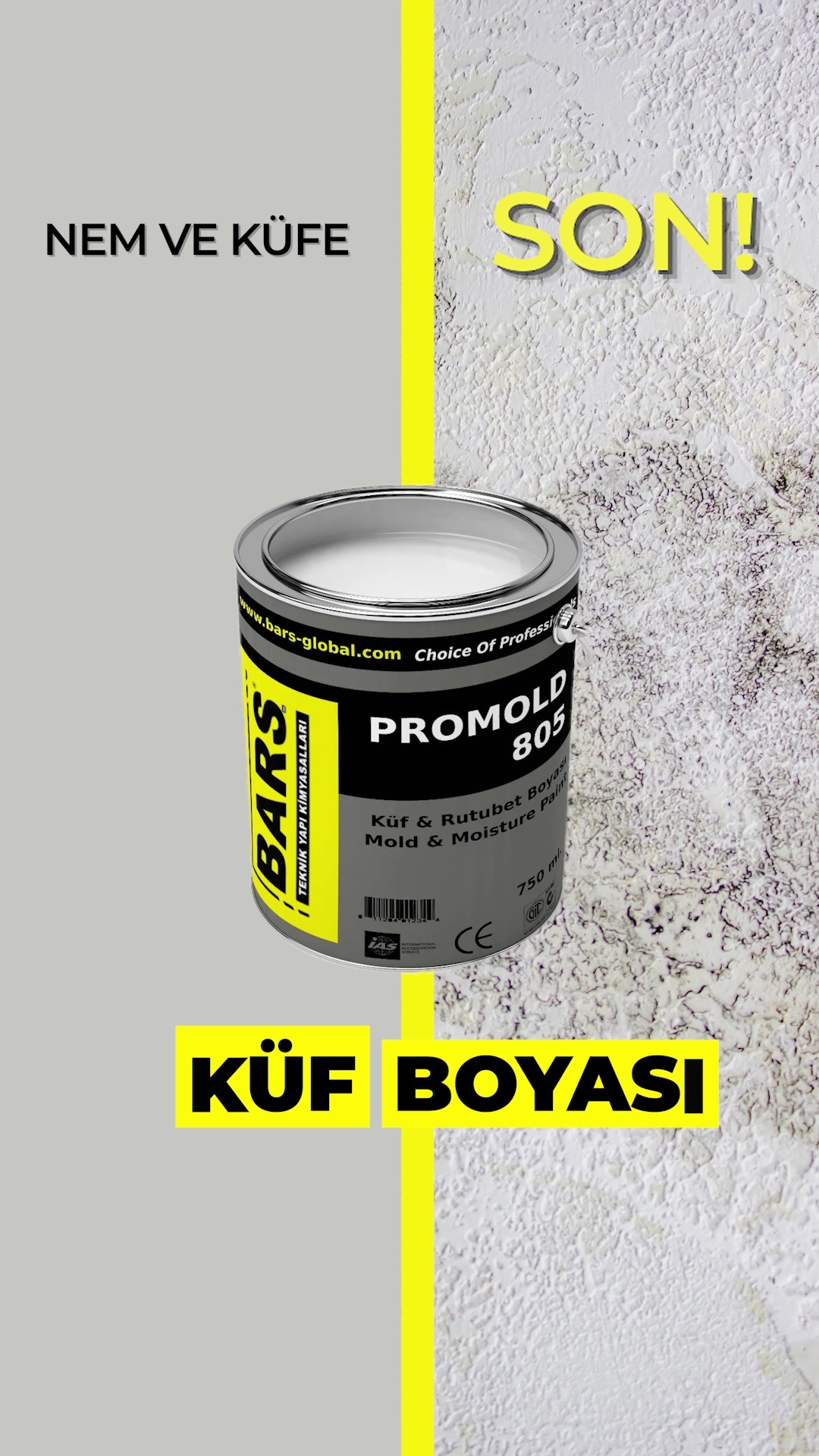 Küf Ve Rutubet Önleyici Boya – Nefes Alan, Anti Bakteriyel, Iç Dış Cephe Duvar Boyası