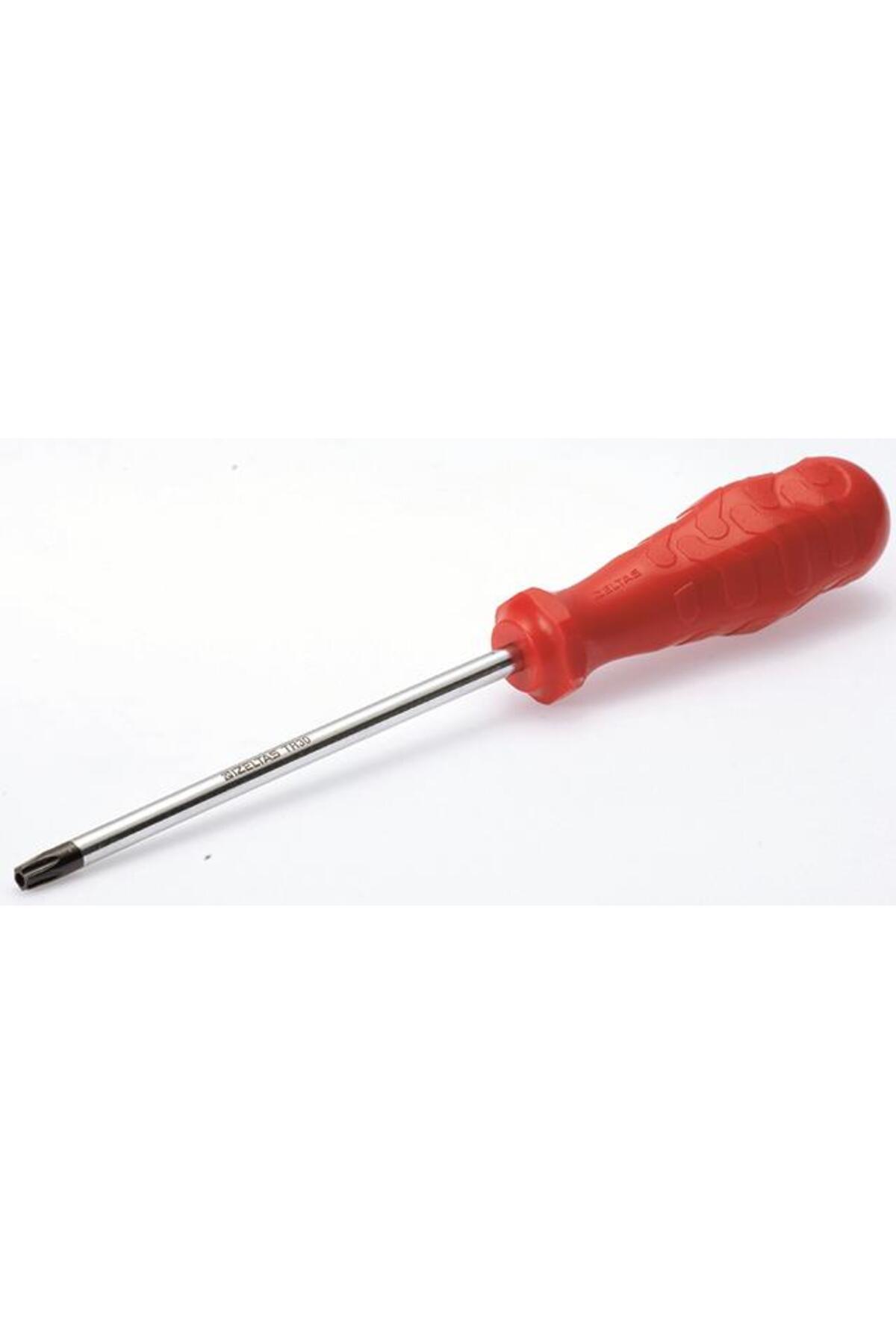 Torx Delikli Tornavida 4x100 4776 18 0020