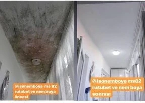 MS 82 Beyaz Nem Boyası 1 kg İç Mekan Kullanımı için Uzun Ömürlü Çözüm