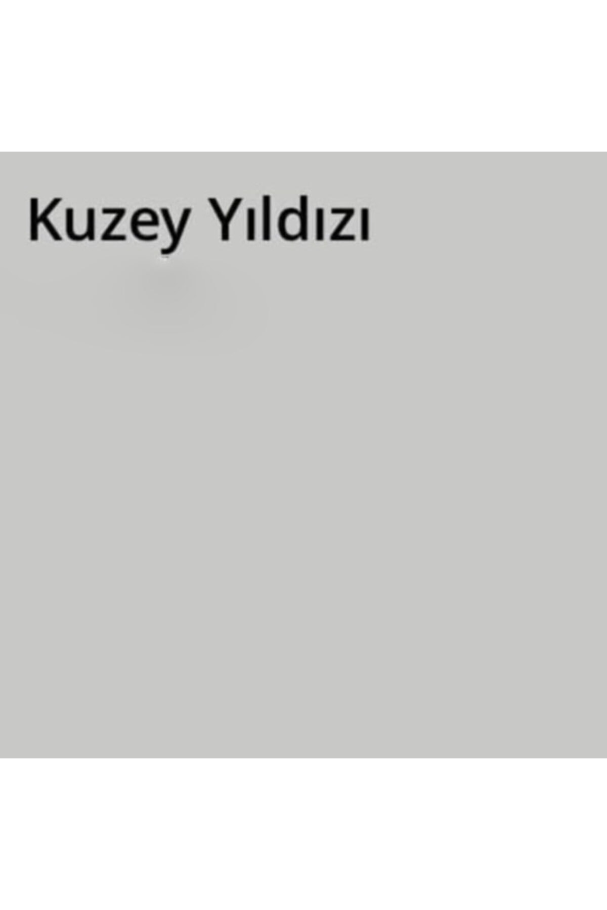 MARSHALL Silikonlu Özel Mat Kuzey Yıldızı 7,5 Lt (10 Kg)