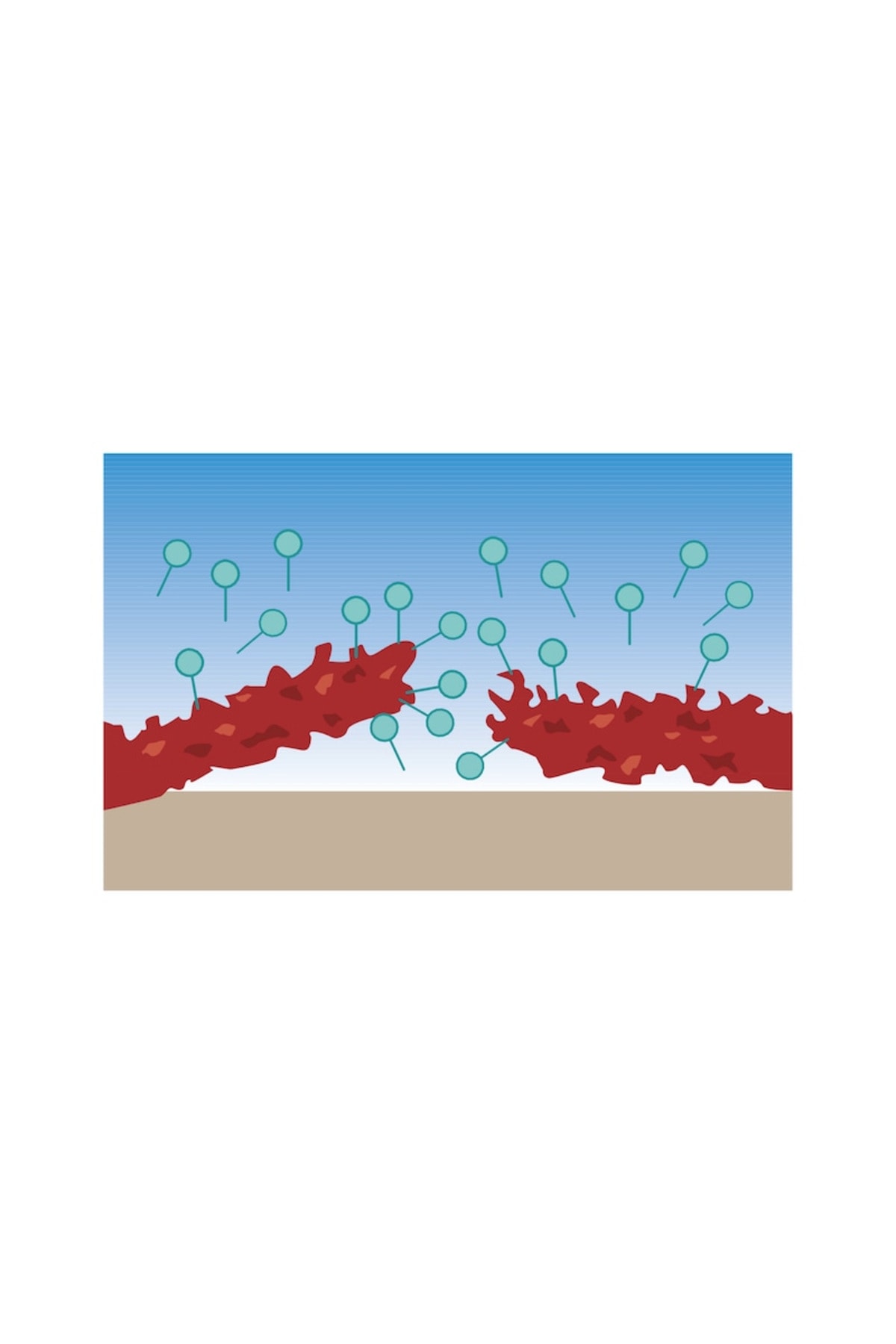 ARAÇ DIŞ TEMİZLEYİCİ LIQUID GREEN 5LT