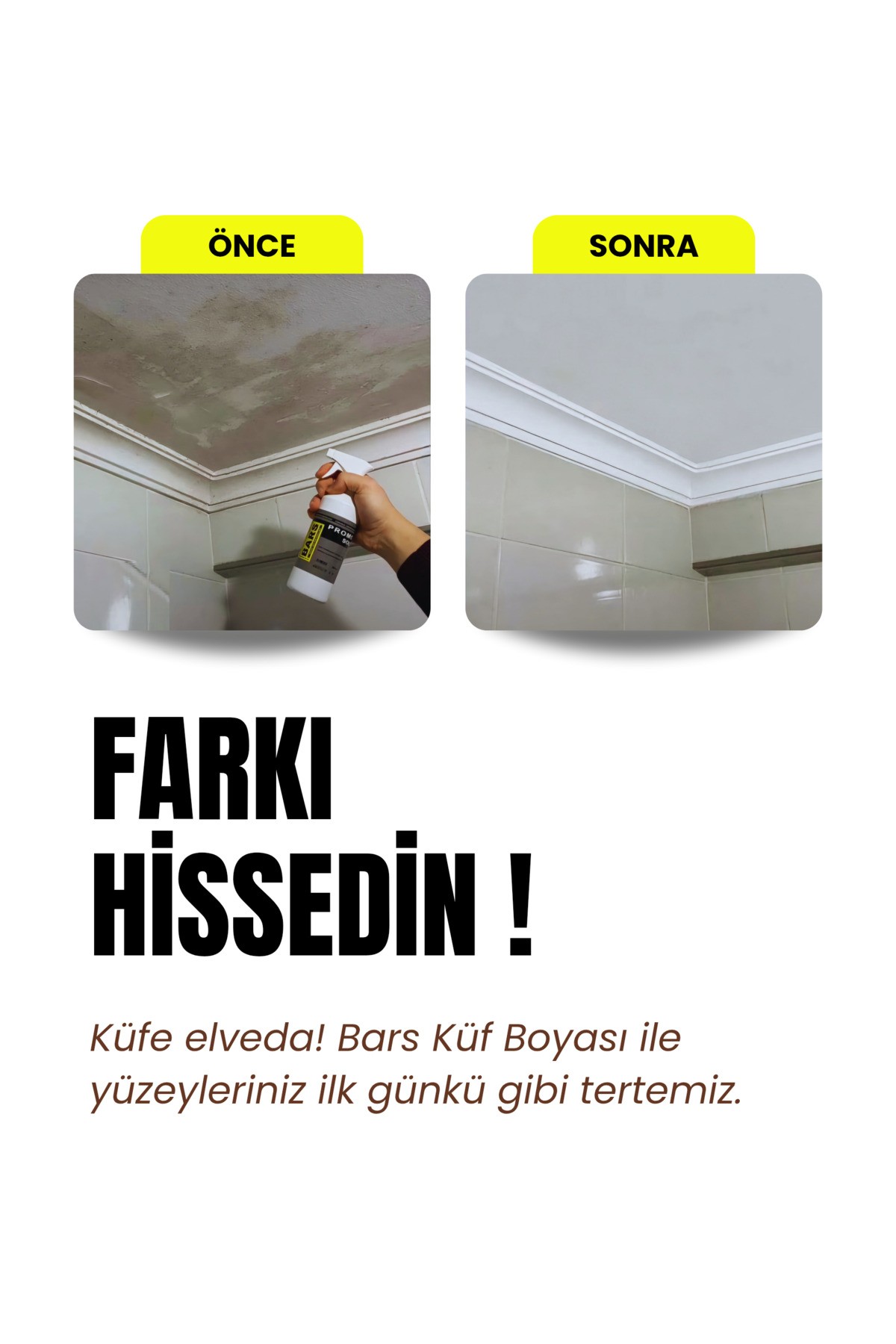 Küf Ve Rutubet Önleyici Boya – Nefes Alan, Anti Bakteriyel, Iç Dış Cephe Duvar Boyası