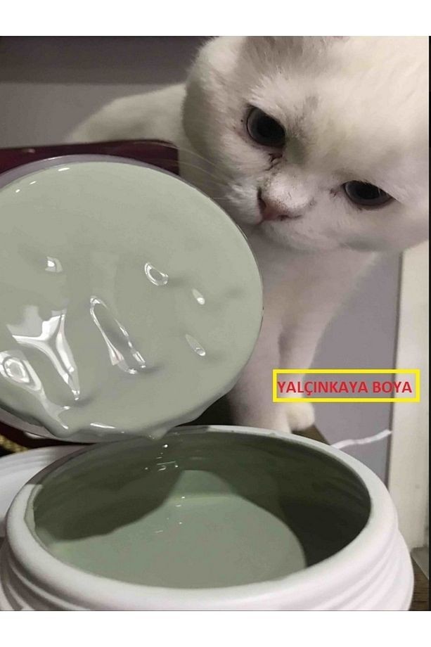 -yasemin 1 Lt