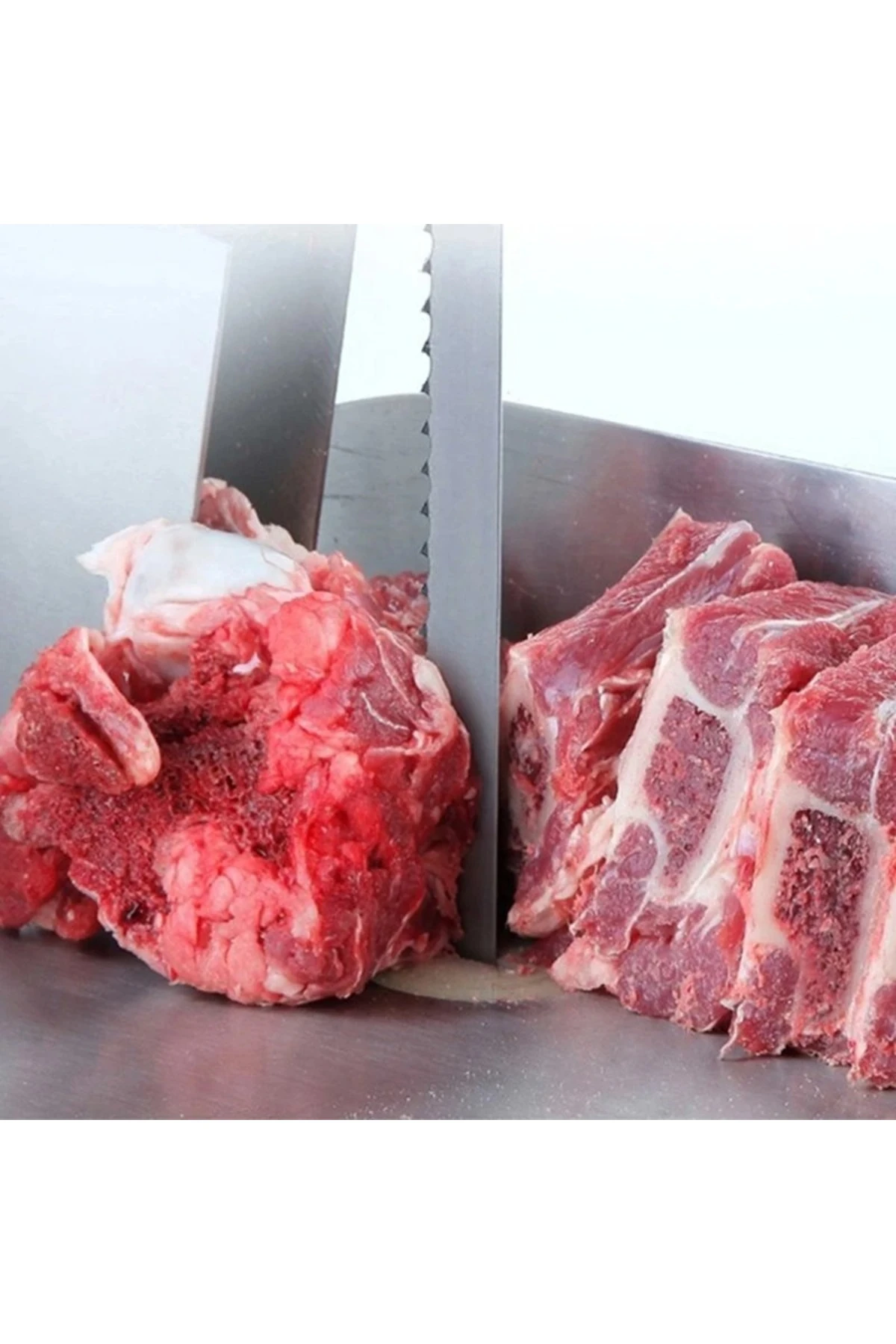 Kemik Testeresi, 1840 X 16mm, Testerex Et-balık-kemik-gıda Şerit Testere Bıçağı