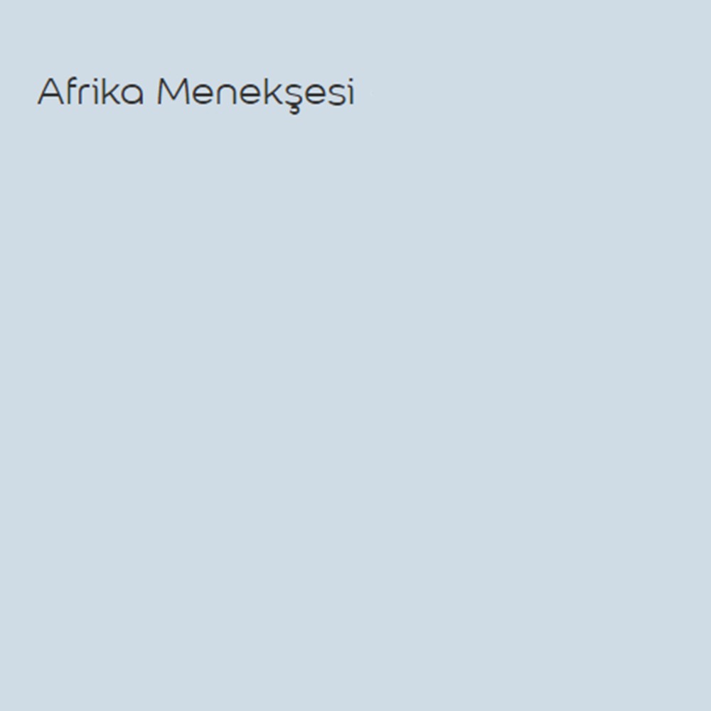 Silikonlu Özel Mat Afrika Menekşesi 2,5 Lt (3,5 Kg)