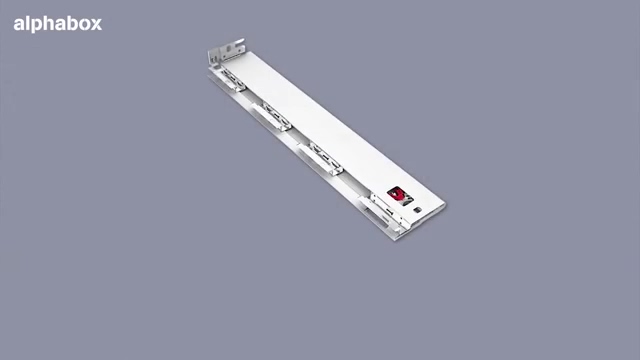 Alpha Ray Bordürü Ahs Vida 350 gr