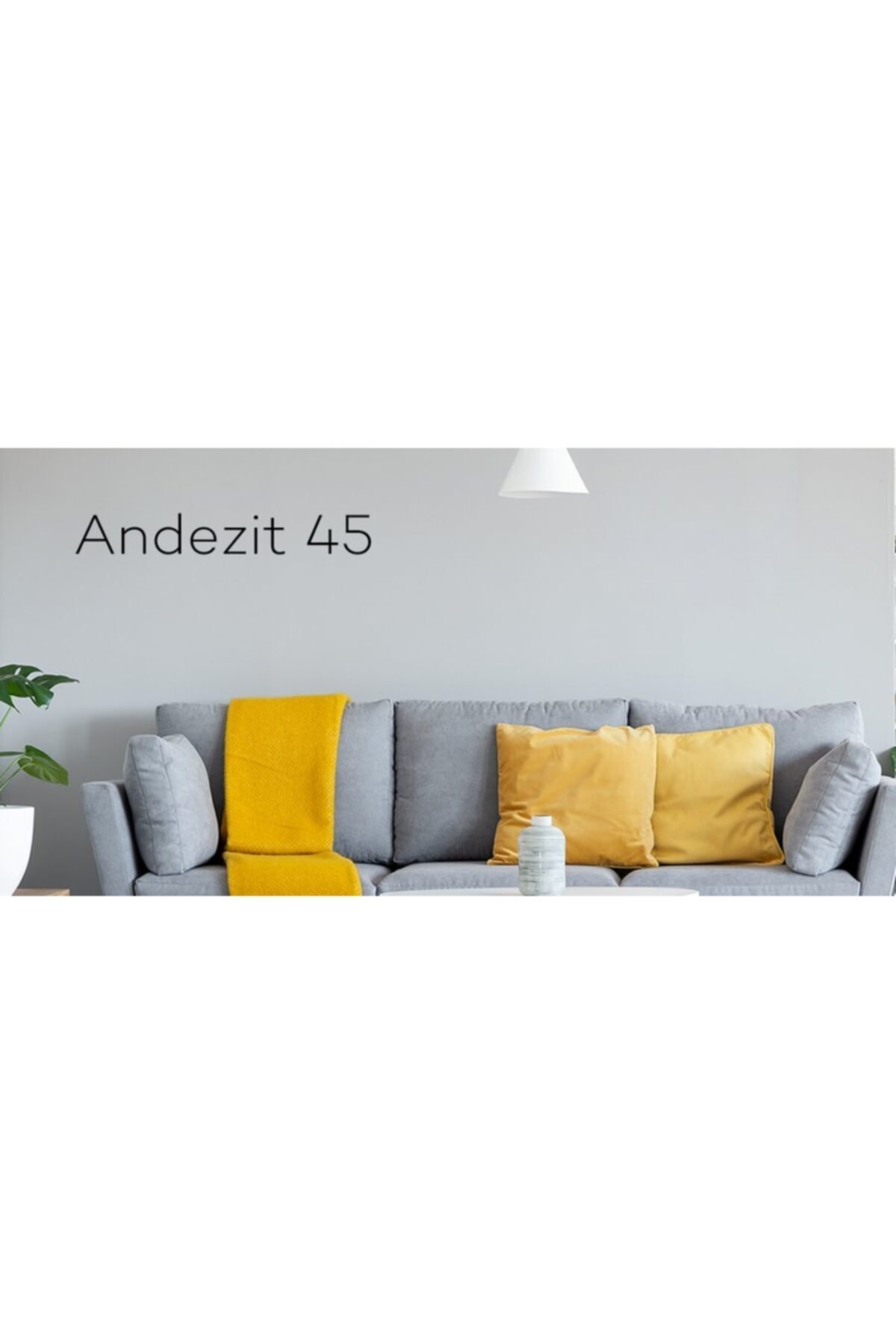 Momento Silan Andezit Tam Silikonlu İç Cephe Boyası 45