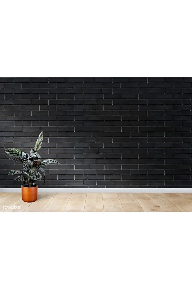 Plastik Mat Siyah Su Bazlı Iç Duvar Boyası 2.5 Lt