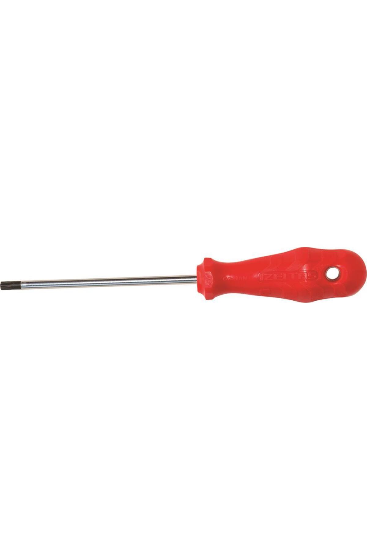 4776180010 Tornavida Delikli Torx Tr10