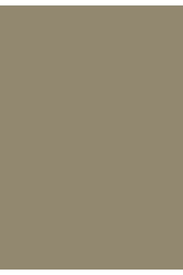 Aqua Pro RAL 7034 Gelbgrau Metal Boyası 2,25 LT