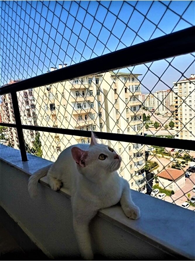 2 x 9 Metre Kedi Koruma Filesi Balkon Filesi 2 mm Kedi Güvenlik Filesi Bebek Güvenlk Filesi